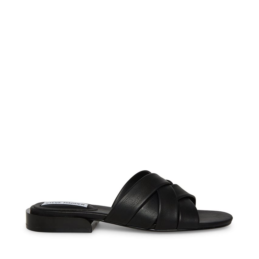 Mulas Steve Madden Kessy Mujer Negras | ES EYS983